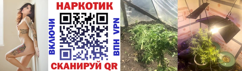 Сколько стоит Грязи Бошки Шишки МЕФ Alpha-PVP ГАШ КОКАИН
