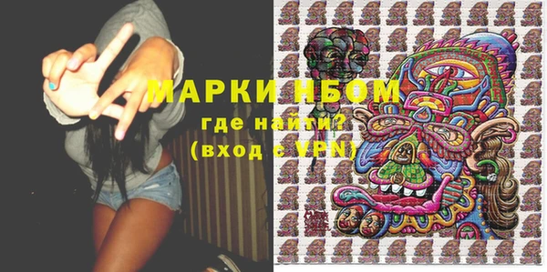бошки Алексин