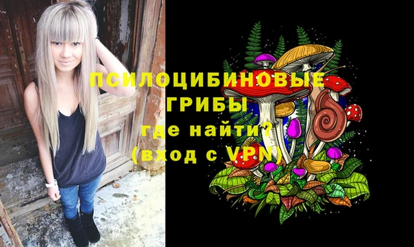 дмт Абдулино