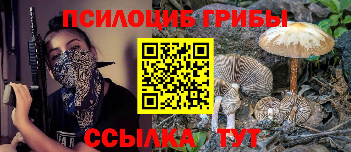 A PVP Грязи