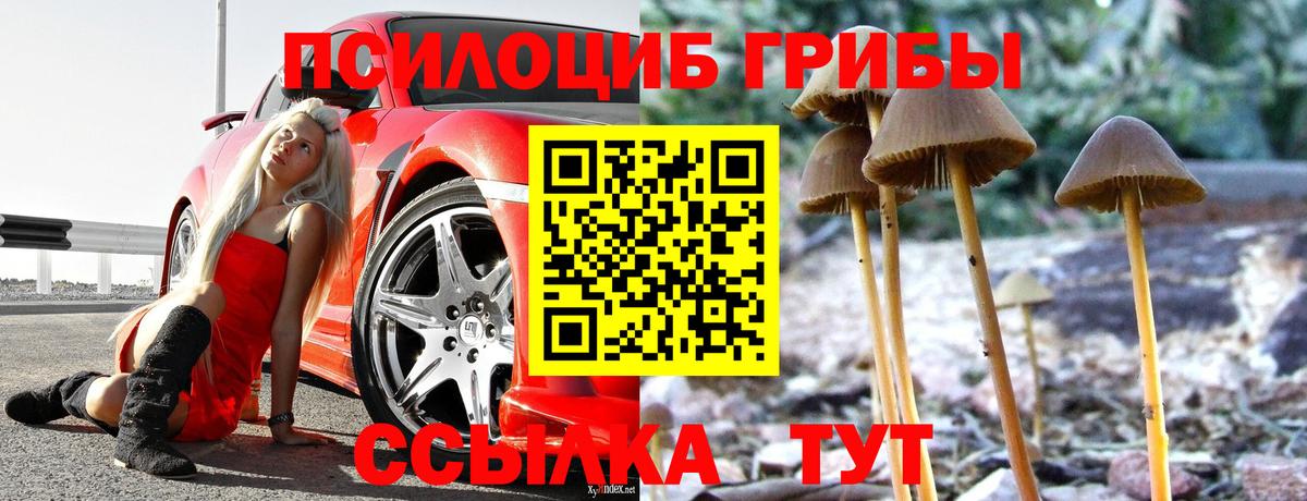 Псилоцибиновые грибы MAGIC MUSHROOMS  Галлюциногенные грибы ЛСД  Грязи  Вход с VPN 